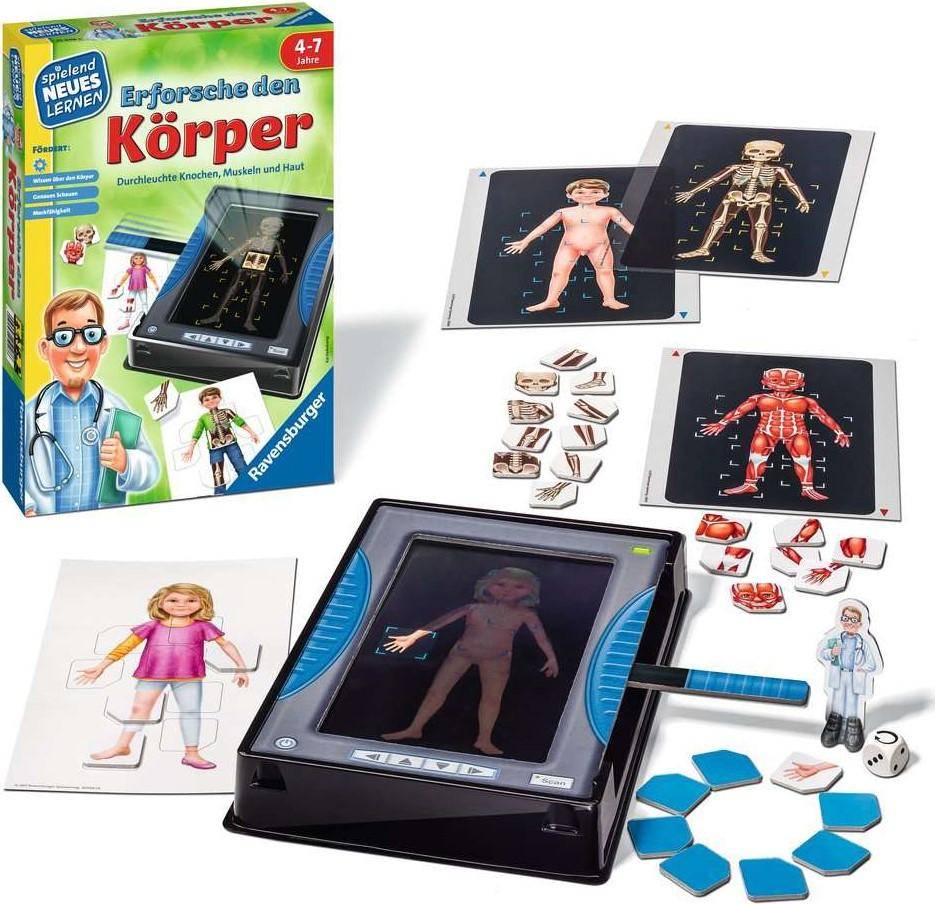 Erforsche den Körper