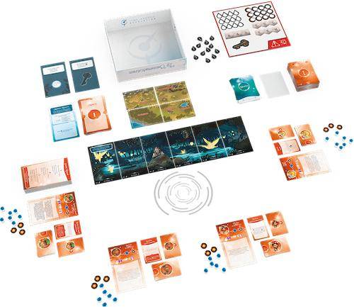 TIME Stories Revolution: Ein Sommernachtstraum