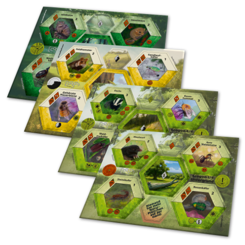 Untergrund - Ecogon, deutsch (Erw.)