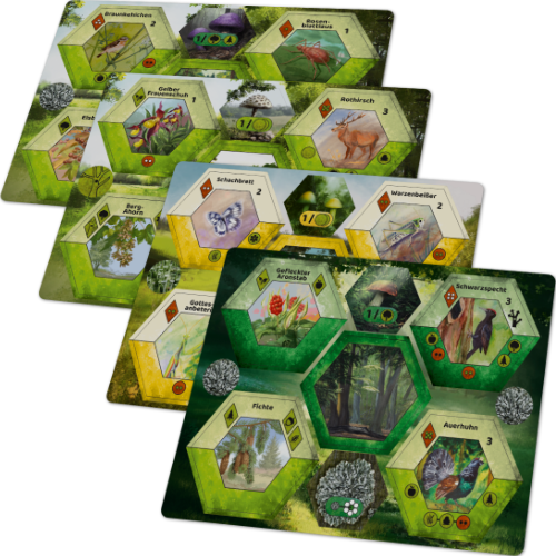 Kryptogam - Ecogon, deutsch (Erw.)