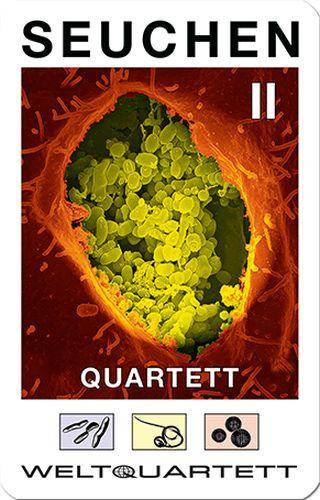 Seuchen-Quartett II