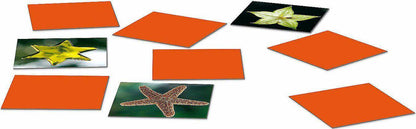 Memocards Formen