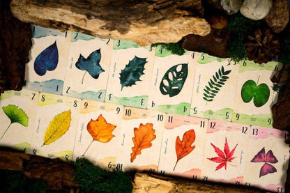 13 Leaves, deutsch