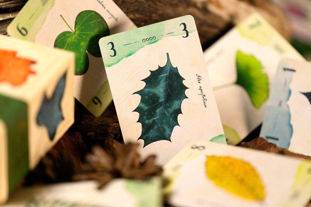 13 Leaves, deutsch
