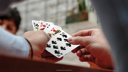 FSC Doppelkopf Leinen, französisches Bild, deutsch