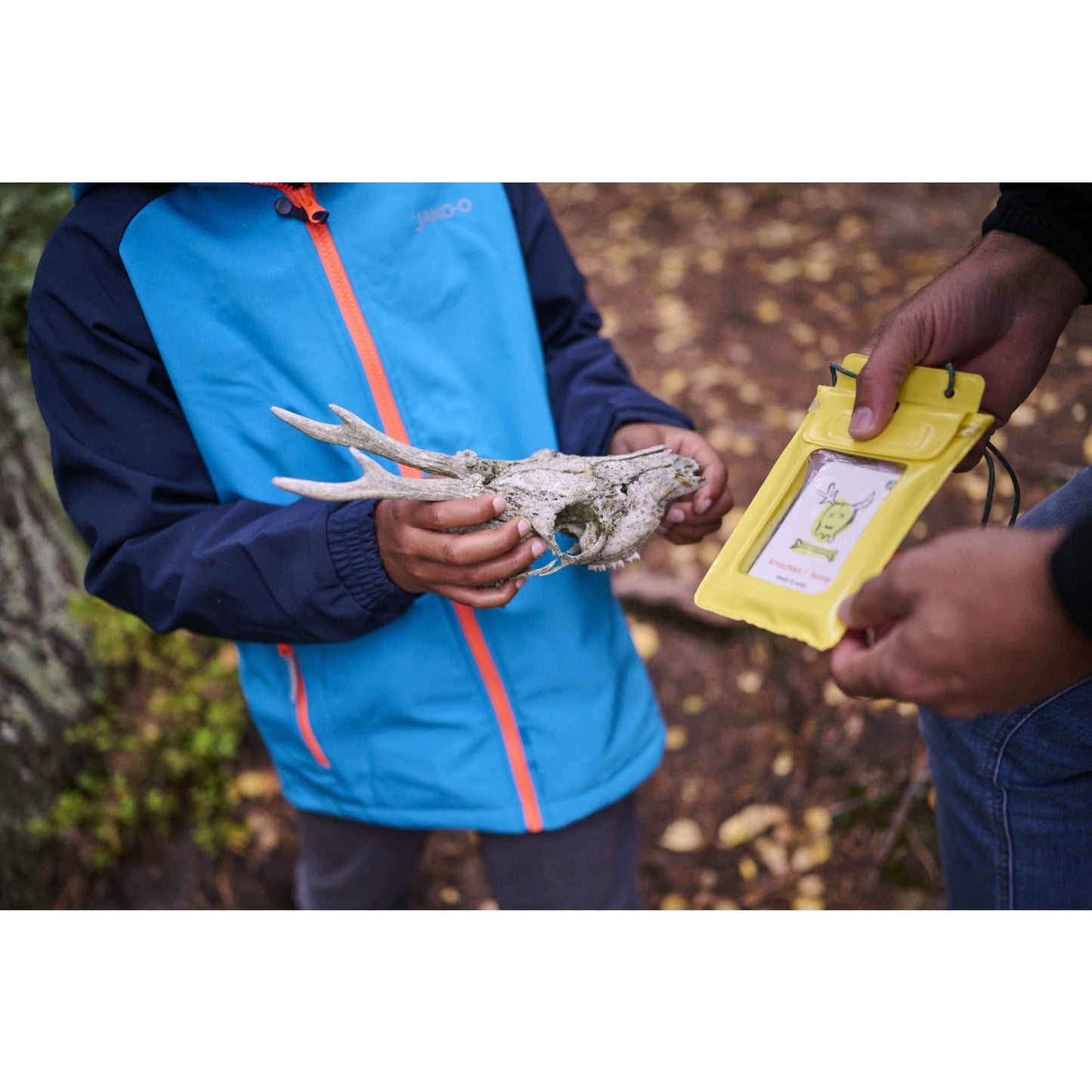 Suchen & Finden - Terra Kids Outdoor, deutsch