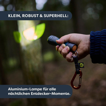 Light Up The Night! - Terra Kids, deutsch