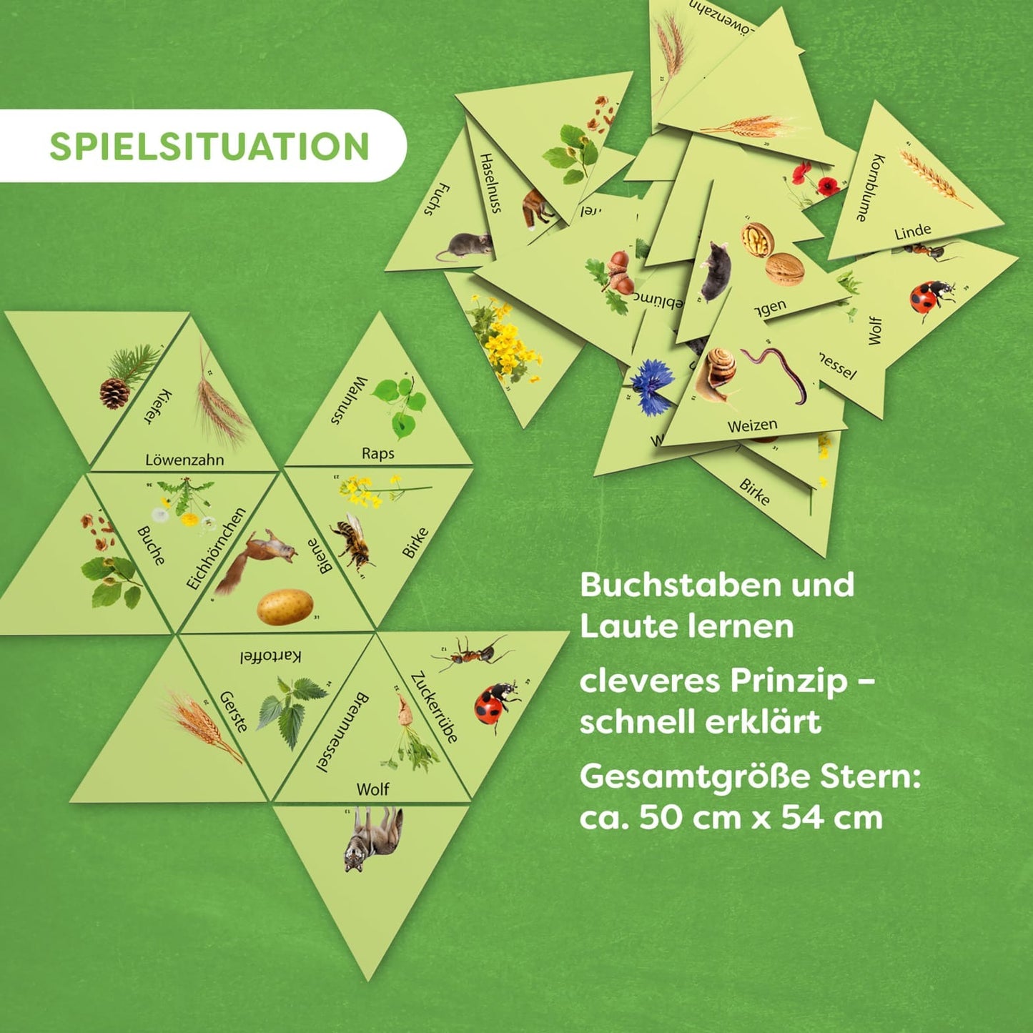 Learning Star: Wald, Feld & Wiese, deutsch