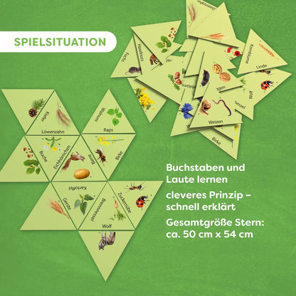 Learning Star: Wald, Feld & Wiese, deutsch