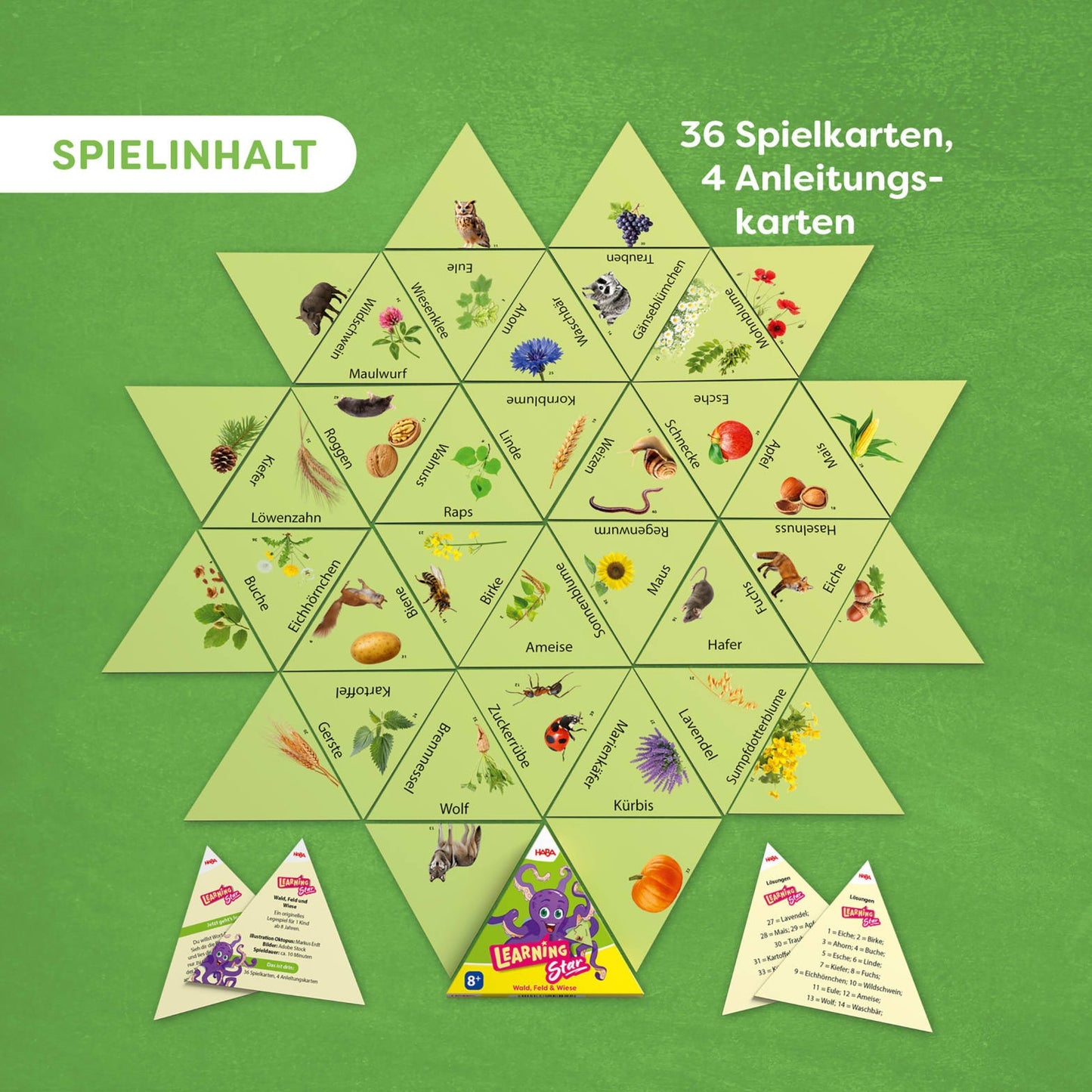 Learning Star: Wald, Feld & Wiese, deutsch