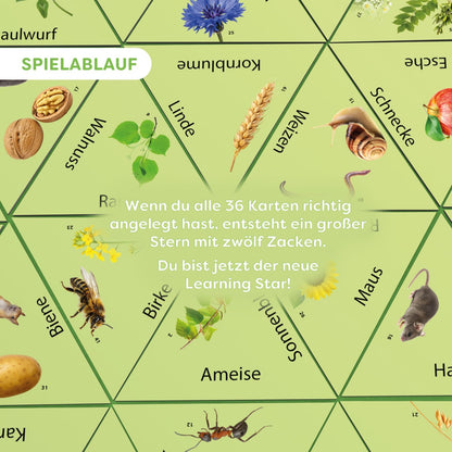 Learning Star: Wald, Feld & Wiese, deutsch