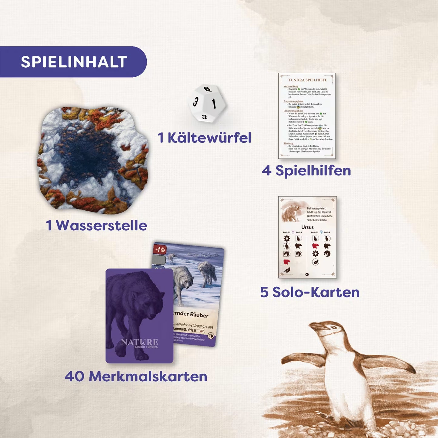 Arctic Tundra (Modul 4) - Nature, deutsch (Erw.)
