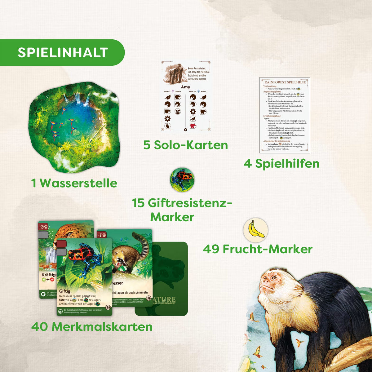 Amazon Rainforest (Modul 5) - Nature, deutsch (Erw.)